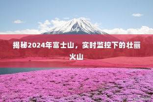 富士山实时监控,揭秘壮丽火山的未来面貌(2024年展望)
