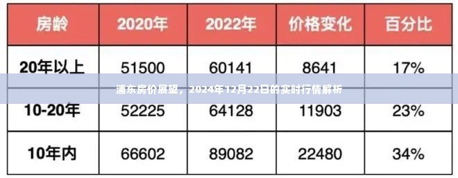 浦东房价展望,2024年实时行情解析及预测(附日期)