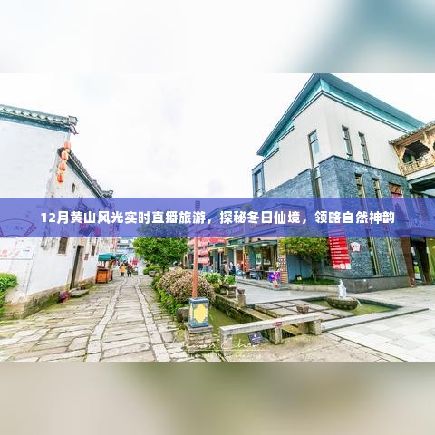 探秘冬日黄山仙境风光,实时直播旅游体验自然神韵