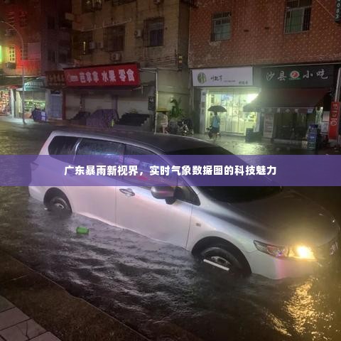 广东暴雨下的实时气象数据图,科技视界展现魅力