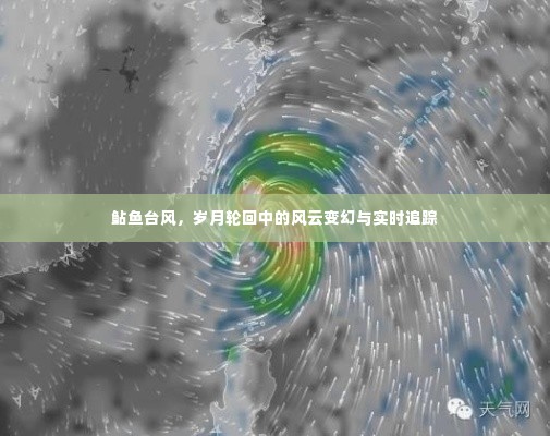 鲇鱼台风,风云变幻的岁月轮回与实时追踪报告