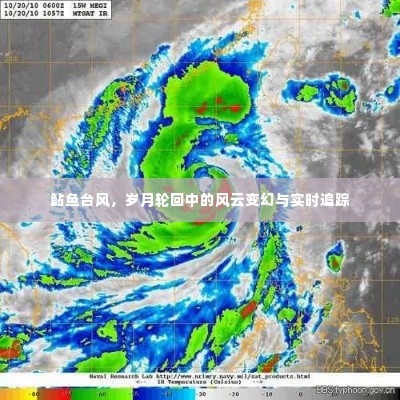鲇鱼台风,风云变幻的岁月轮回与实时追踪报告