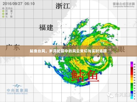 鲇鱼台风,风云变幻的岁月轮回与实时追踪报告