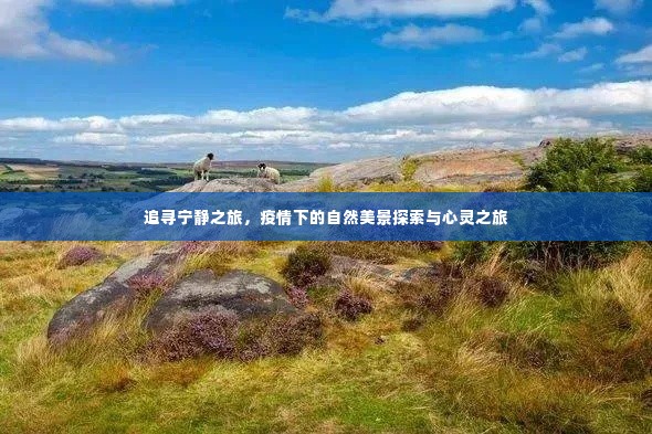 疫情下的自然探索与心灵宁静之旅，追寻宁静之美