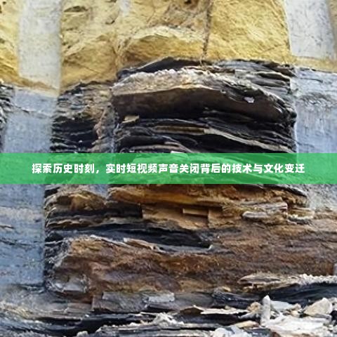 探索历史时刻,短视频无声背后的技术与文化变迁