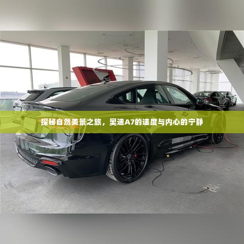 奥迪A7探秘自然美景之旅，速度与宁静的交融之旅