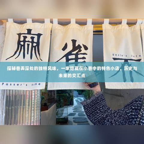 巷弄深处的独特风味,历史与未来的交汇点——一家隐藏在小巷中的特色小店探秘