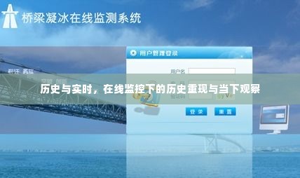 历史重现与当下观察,在线监控下的历史与实时探析