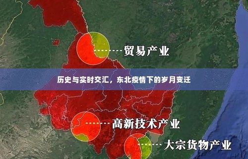 东北疫情下的岁月变迁,历史与实时的交汇点