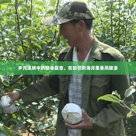 岁月见证下的励志航行,知识的海洋中的奋斗篇章