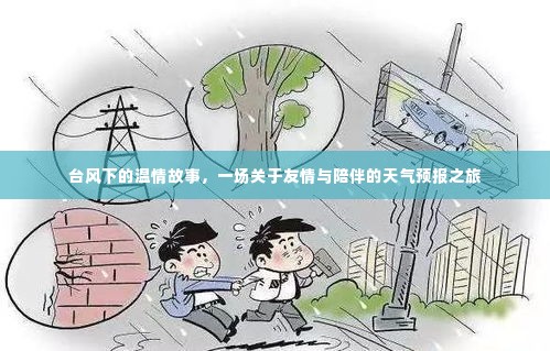 台风下的温情之旅,友情与陪伴的天气预报探秘