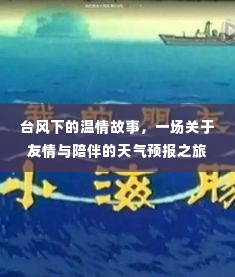 台风下的温情之旅,友情与陪伴的天气预报探秘
