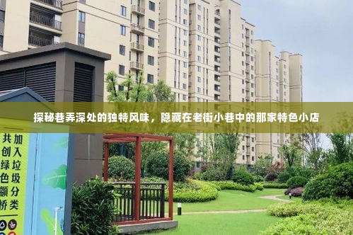 探秘老街小巷,独特风味特色小店的神秘魅力