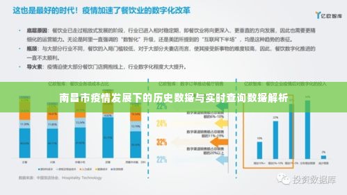 南昌市疫情发展下的数据解析与实时查询报告