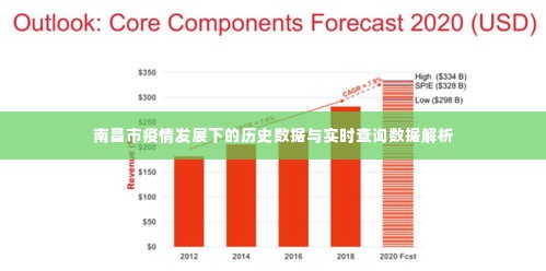 南昌市疫情发展下的数据解析与实时查询报告