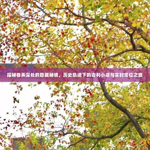 巷弄深处的秘境探索,吉利小店的时空之旅与实时定位之旅探秘