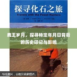 鹿王岁月,探寻历史印记与影响,特定年月日的背后故事