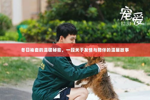 冬日袖套的温暖秘密,友情与陪伴的温馨篇章