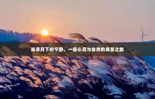 鸟入樊笼 第4页