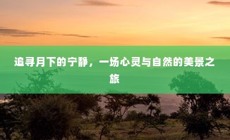 月下心灵之旅,追寻宁静与自然的绝美景色