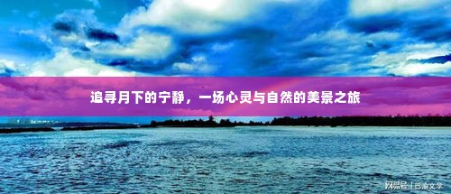 月下心灵之旅,追寻宁静与自然的绝美景色