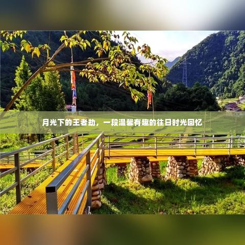 月光下的王者劫,温馨往日时光回忆