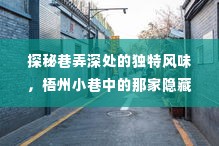 梧州巷弄深处的独特风味,隐藏版特色小店的探秘之旅