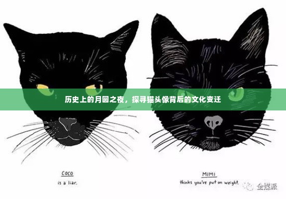月圆之夜与猫头像,探寻背后的文化变迁之路