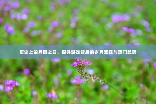 月圆之日的游戏岁月,探寻背后的变迁与热门趋势