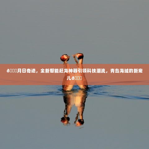 月日奇迹,青岛海域新宠智能赶海神器引领科技潮流