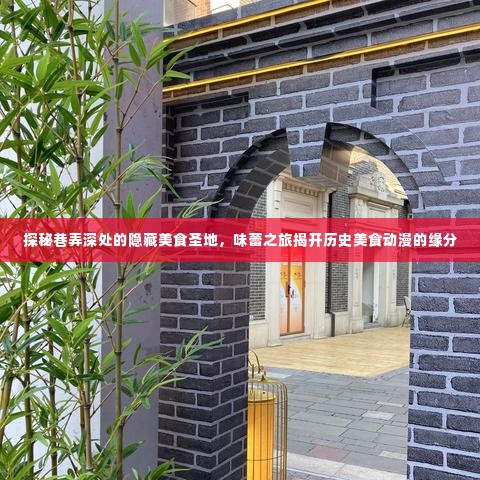 巷弄深处的隐藏美食之旅，味蕾之旅与美食动漫的历史奇缘
