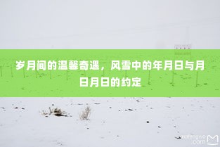 岁月温馨奇遇,风雪中的年月日之约与月日月日的浪漫约定
