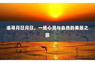 追寻月日月日,心灵与自然的绝美之旅
