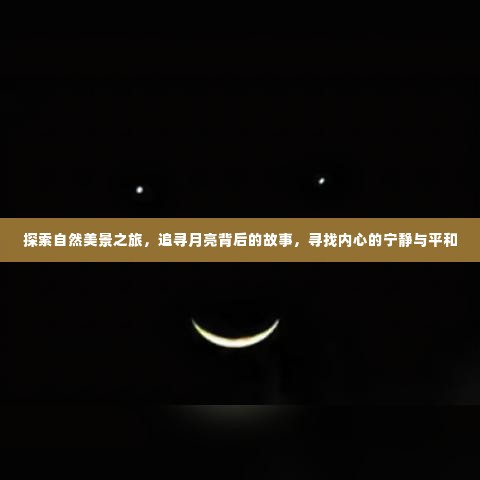 探寻自然奥秘之旅,月下故事与内心宁静的追寻