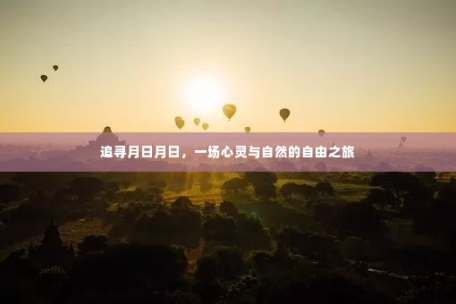 追寻月日月日，心灵与自然的自由之旅