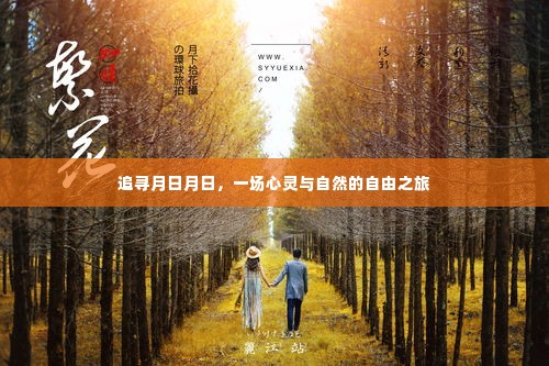 追寻月日月日,心灵与自然的自由之旅
