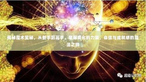 从新手到高手，揭秘魔术奥秘，开启自信与成就感的魔法之旅