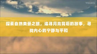 探寻自然奥秘之旅,月下故事与内心宁静的追寻