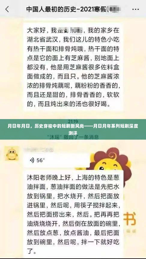 月日月年系列短剧,历史穿梭的新风尚深度测评