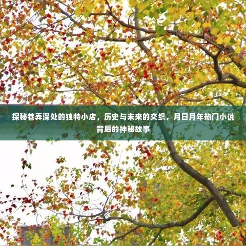 巷弄深处的神秘小店,历史与未来的交织,热门小说背后的神秘故事探秘