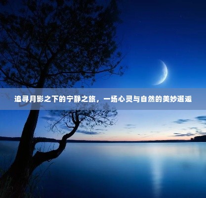月影之下的心灵与自然,宁静之旅的美妙邂逅