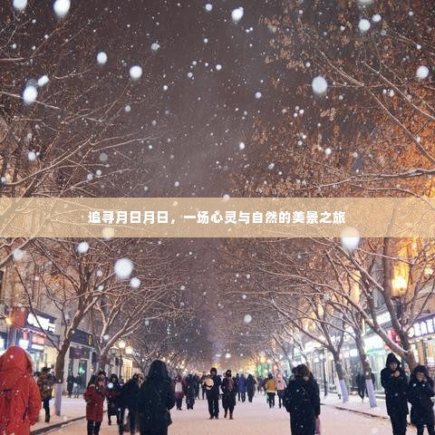 追寻月日月日,心灵与自然的绝美之旅