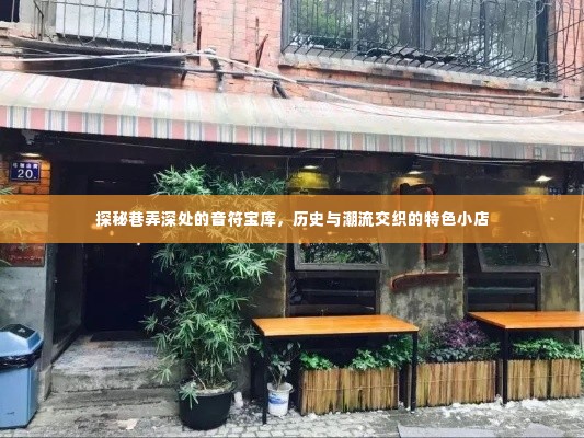 巷弄深处的音符宝库,历史与潮流交织的特色小店探秘