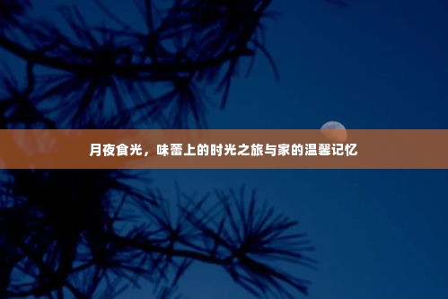 月夜食光,味蕾之旅与家的温馨记忆