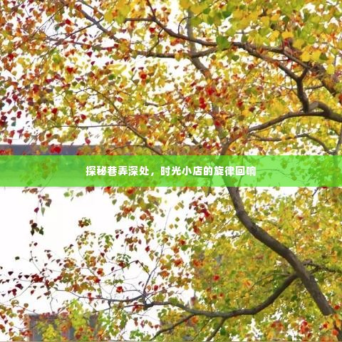 时光深处的巷弄旋律,探秘小店的回响