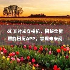 时光穿梭机,全新智能日历APP揭秘,掌握未来阅读趋势的密钥
