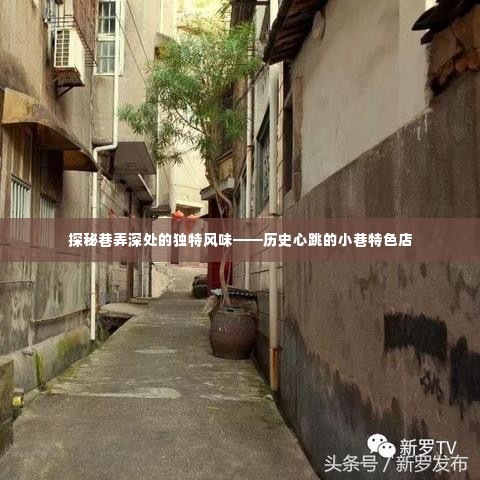 巷弄深处的独特风味,历史心跳的小巷特色店探秘