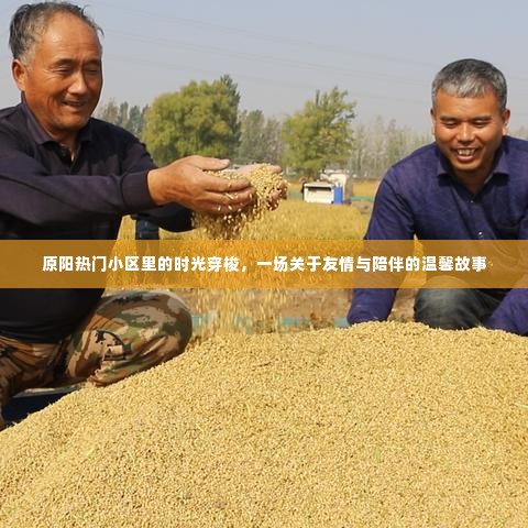 原阳热门小区里的友情时光，温馨陪伴的故事