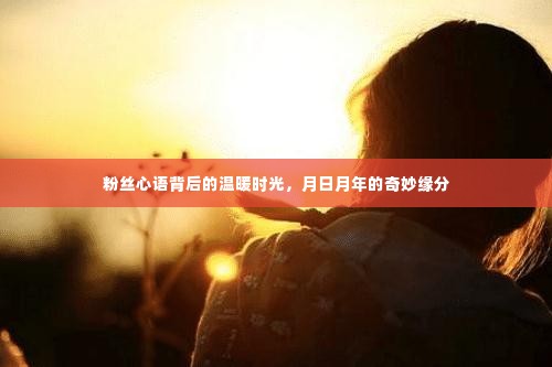 粉丝心语中的温暖时光与月日月年的奇妙缘分