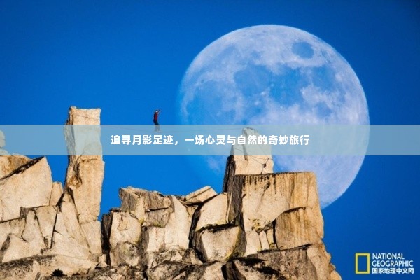 月影足迹,心灵与自然的梦幻之旅